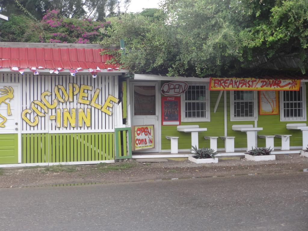 Cocopele Inn San Ignacio Exteriör bild