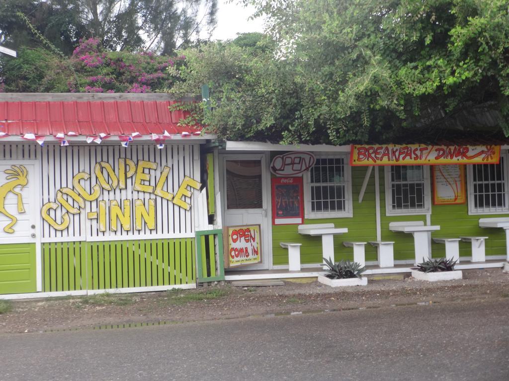 Cocopele Inn San Ignacio Exteriör bild