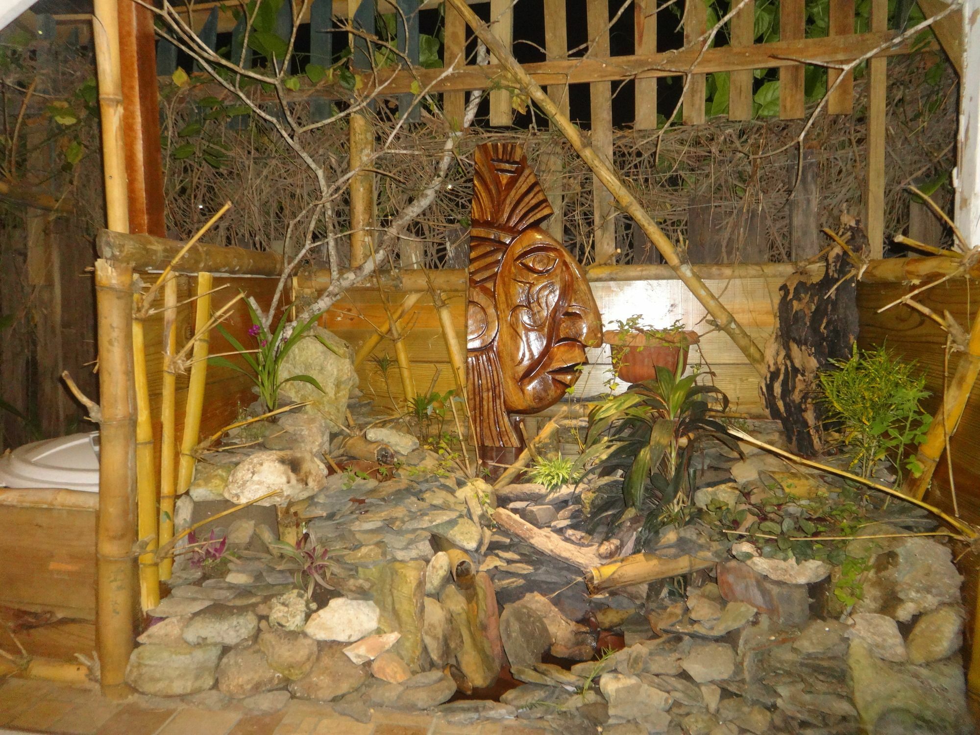 Cocopele Inn San Ignacio Exteriör bild